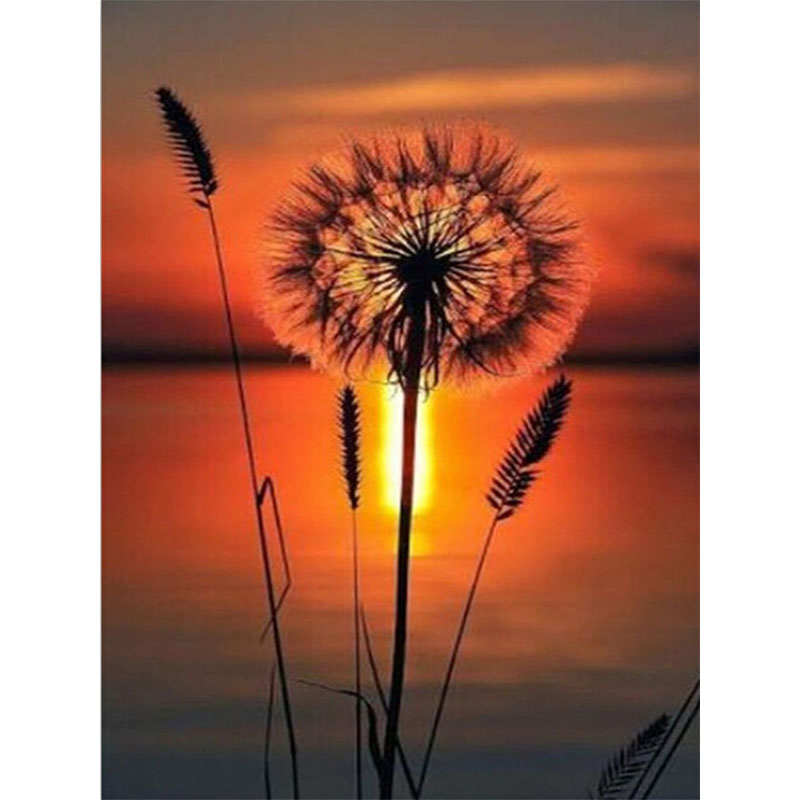 Amazing Sunset and Flower