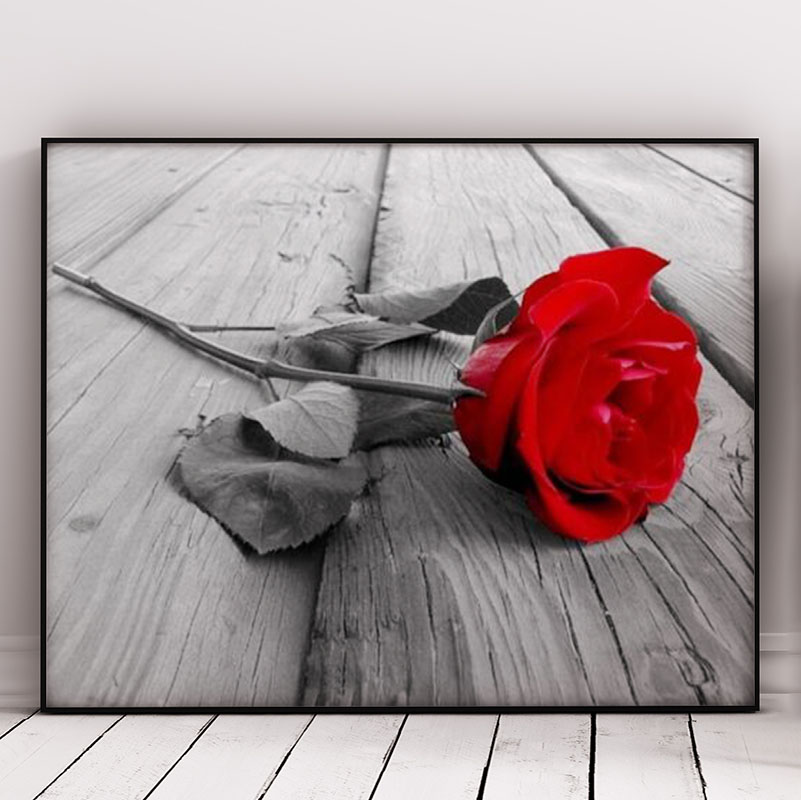 Red Rose on the Wooden Floor