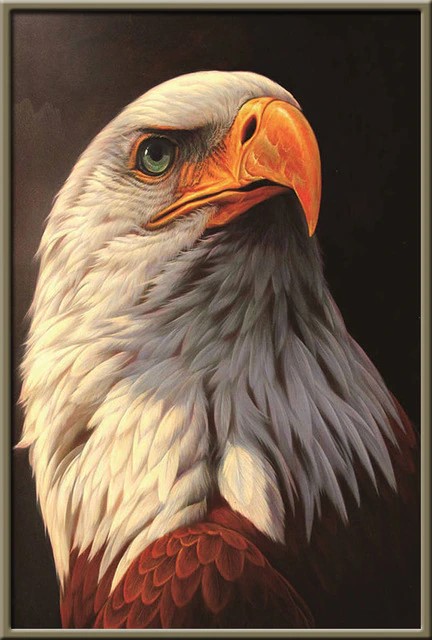 The Amazing Eagle