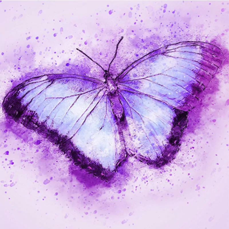Beautiful Butterfly