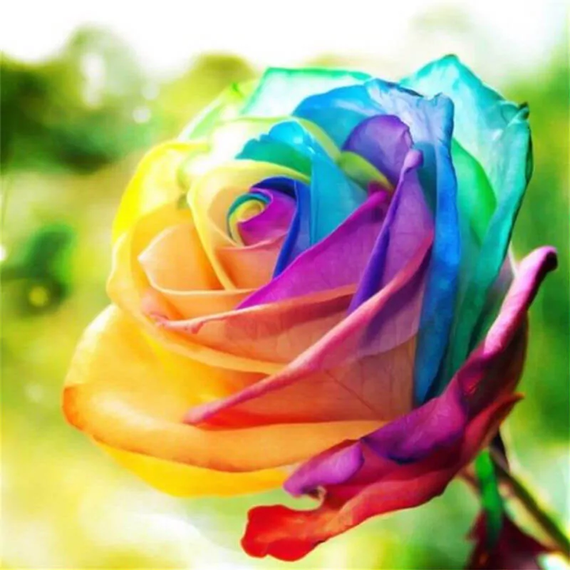 Abstract Flower