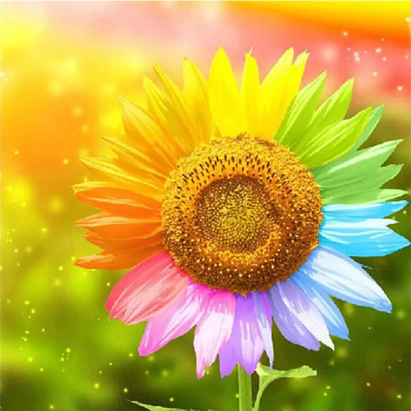 Colorful Flower