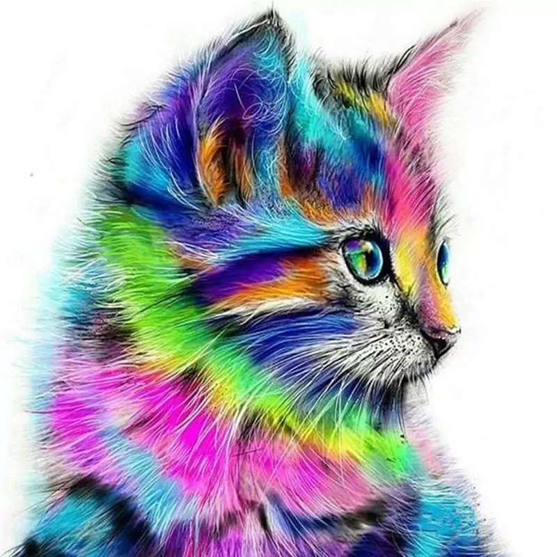 Abstract Cat