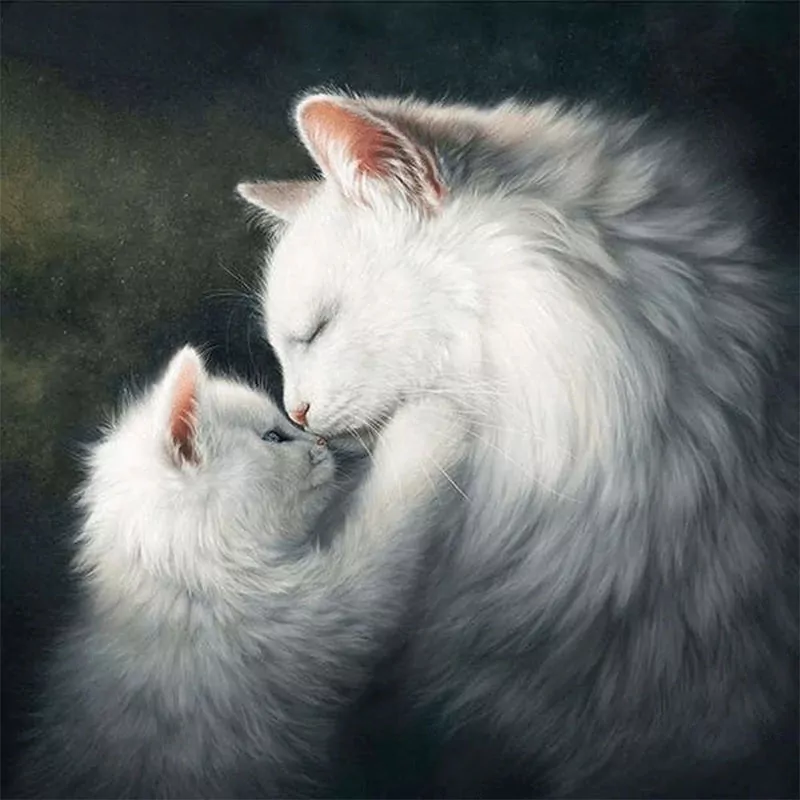 Beautiful White Cats