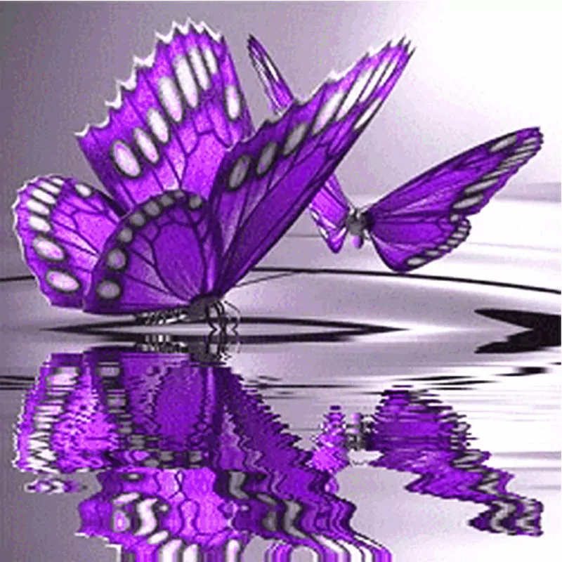 Violet Butterflies