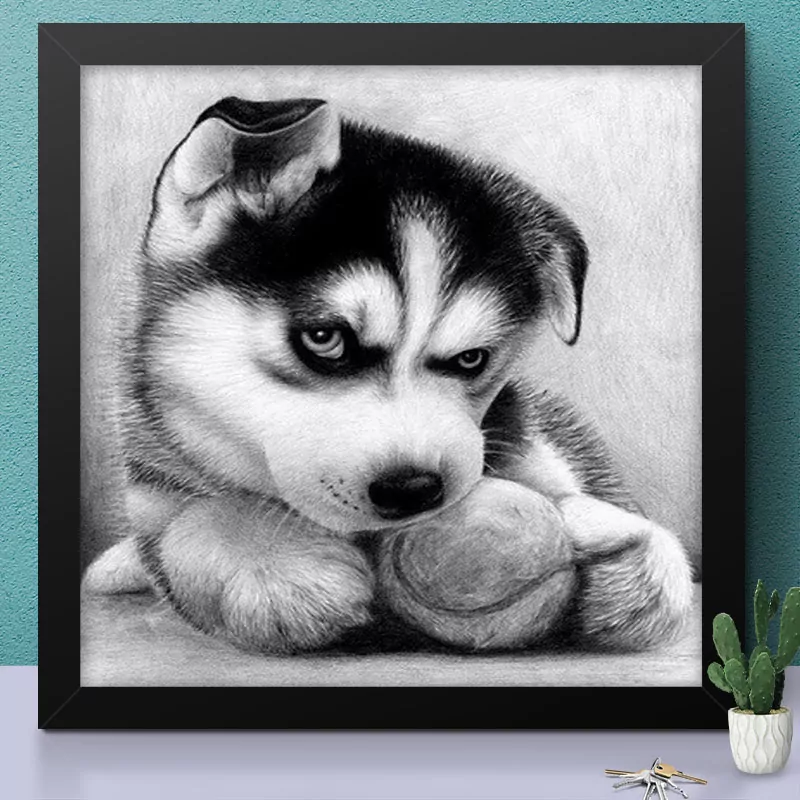 Angry Puppy