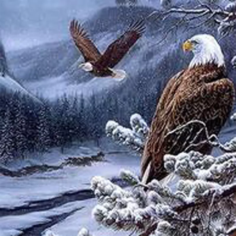 Eagle is flying On Waterfall
