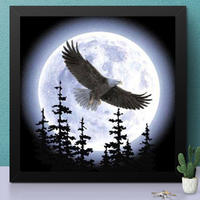 Eagle is Flying in Night