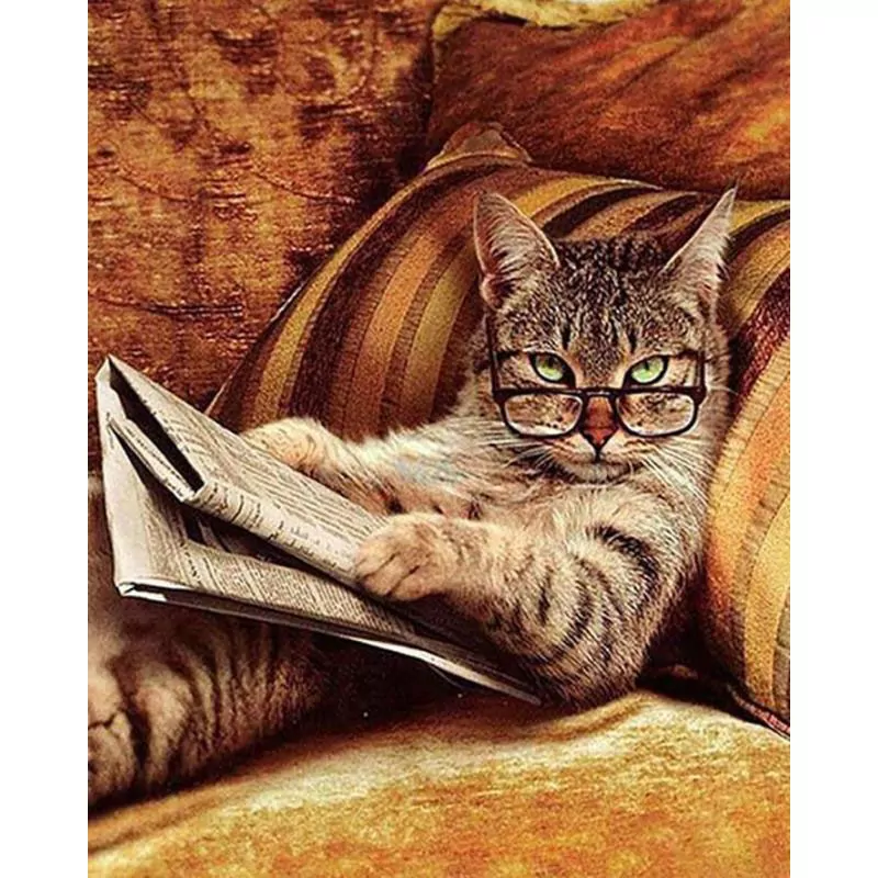 Why So Serious? - Cat