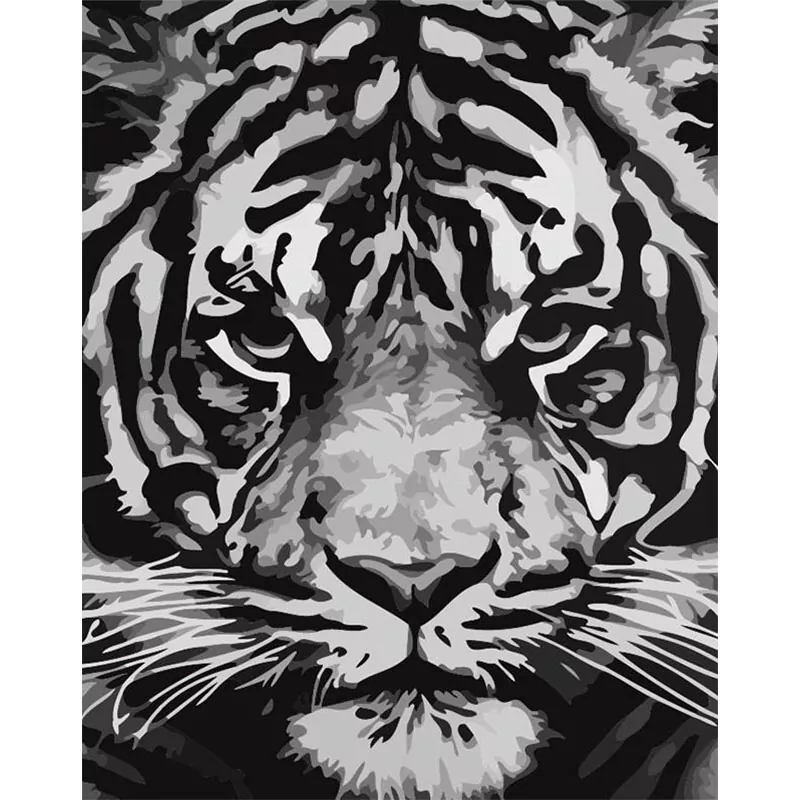 The Angry Tiger