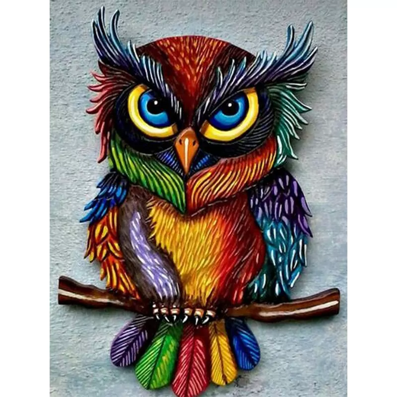 The Amazing and Colourful Owl