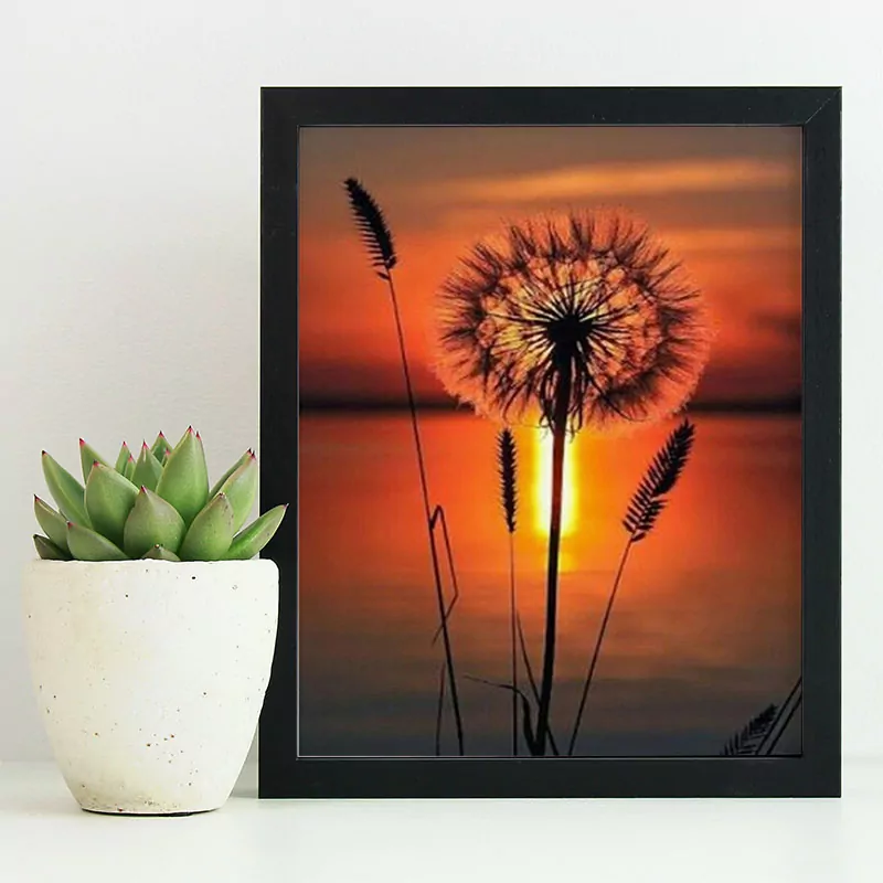 Amazing Sunset and Flower