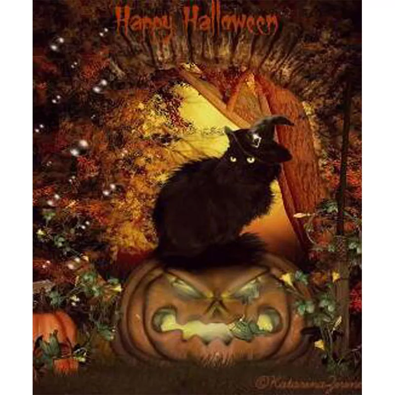 Scary Pumpking and Black Cat
