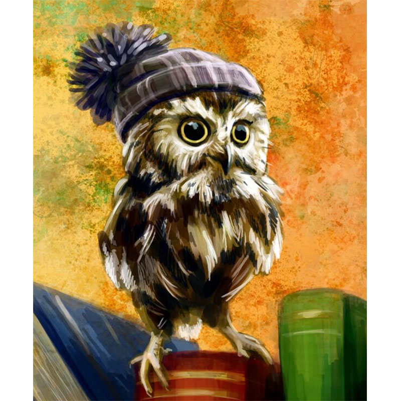 Owl with his Cap