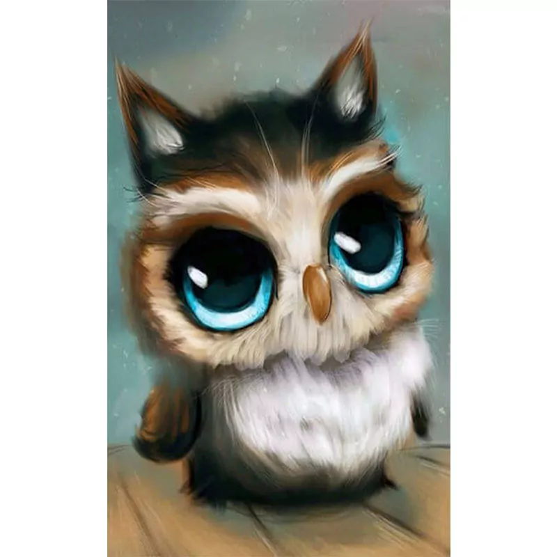 Angry with you - Owl