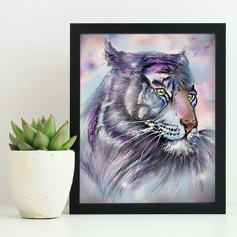 Looking at you - The Tiger