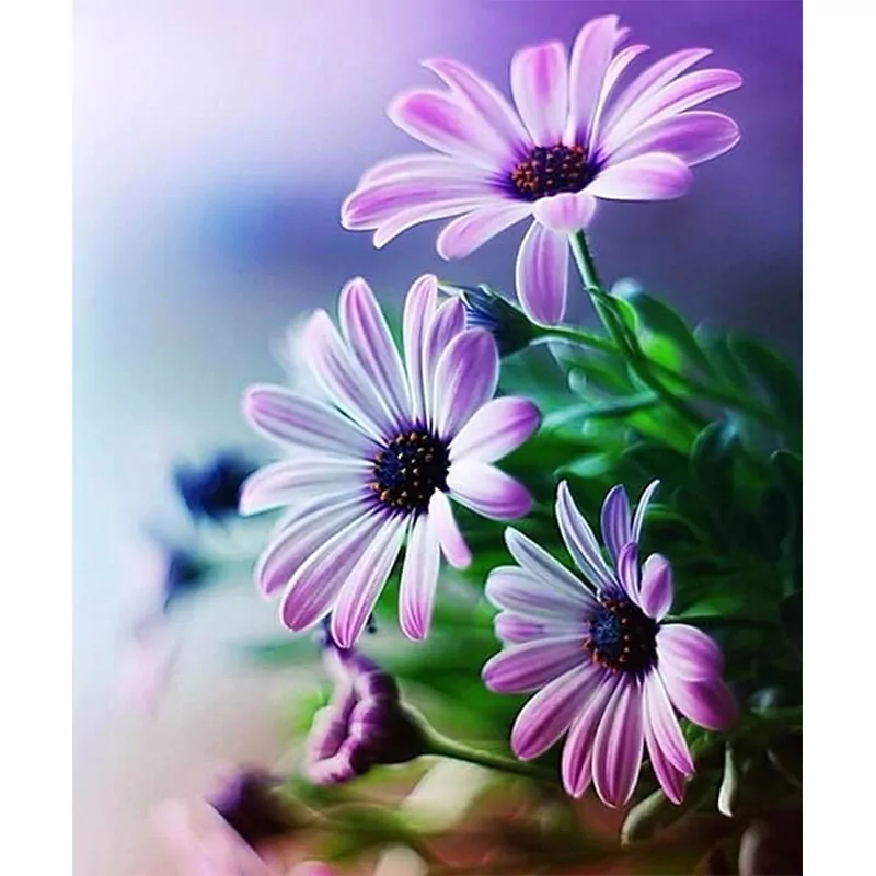 The Beautiful Flowers