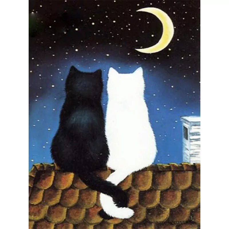 Black and White Cats Couple