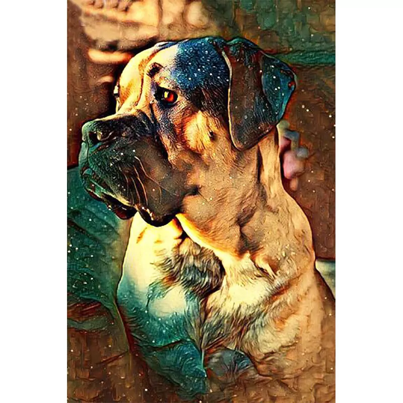 Why so sad? - Dog