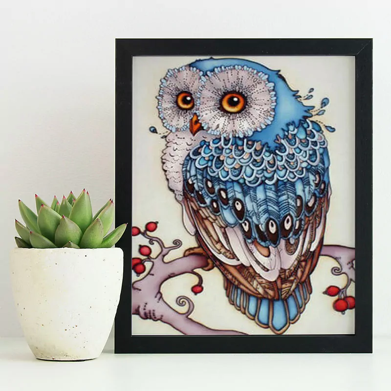 The Shy Owl