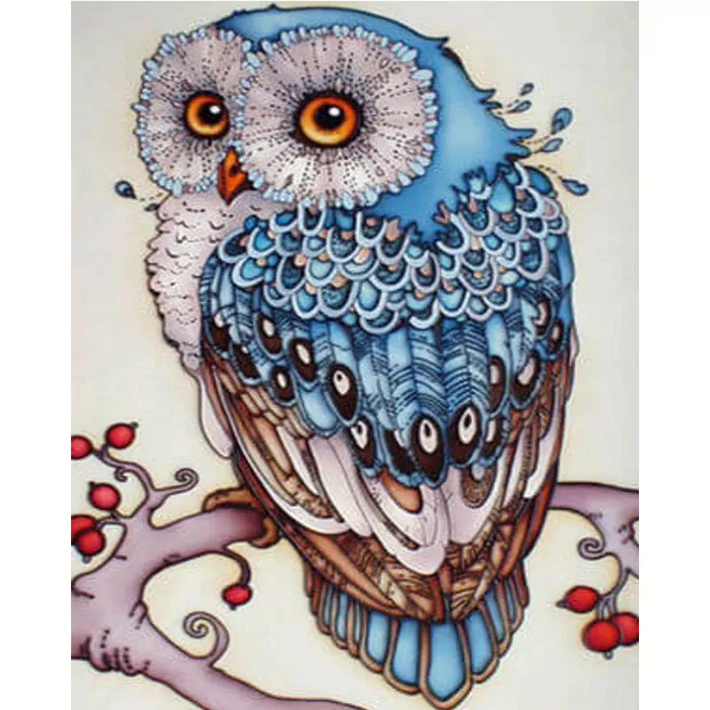 The Shy Owl