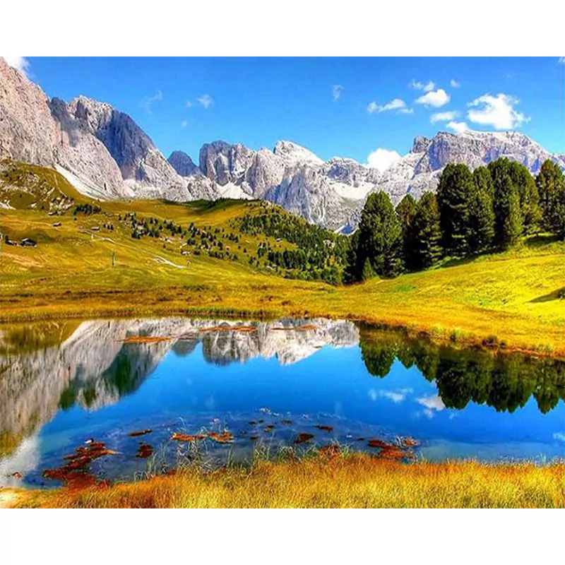 Mountain And Green Forest