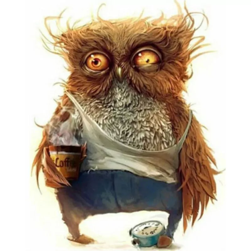 The Lazy Owl