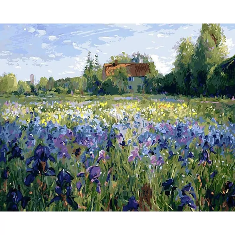 Beautiful Iris Field
