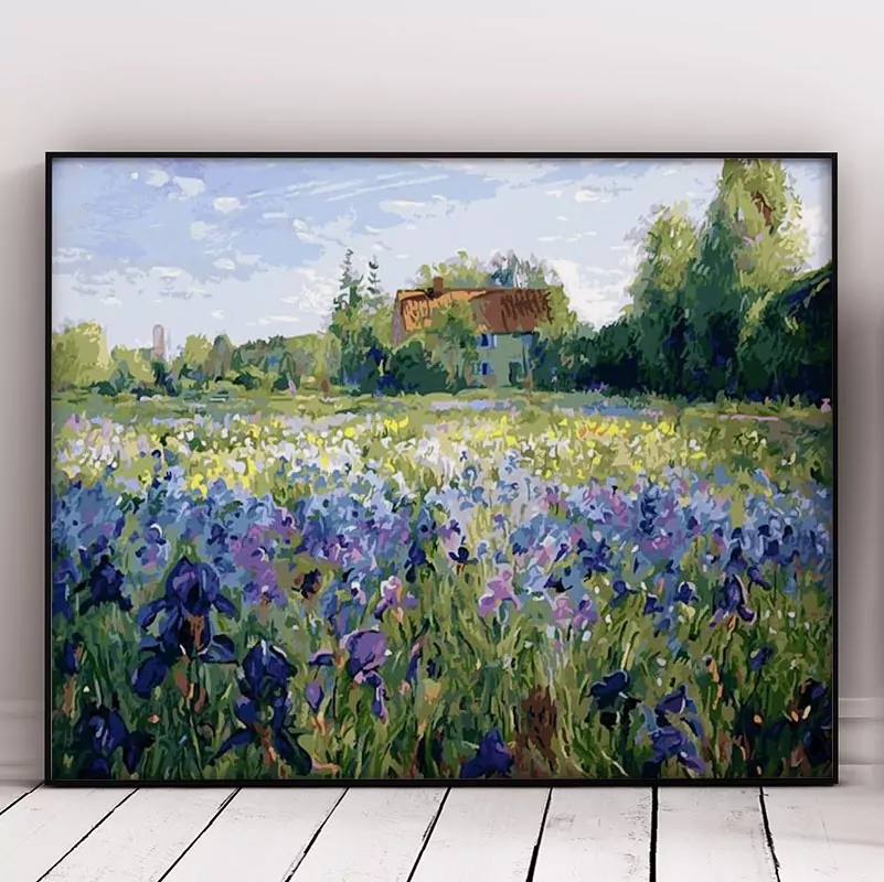 Beautiful Iris Field