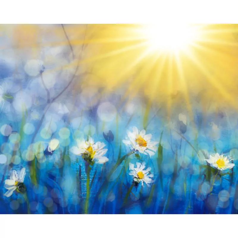 Sunrise And White Flowers