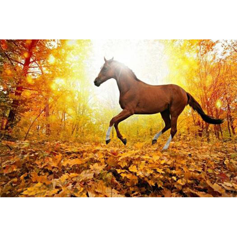 Autumn leaves and Horse