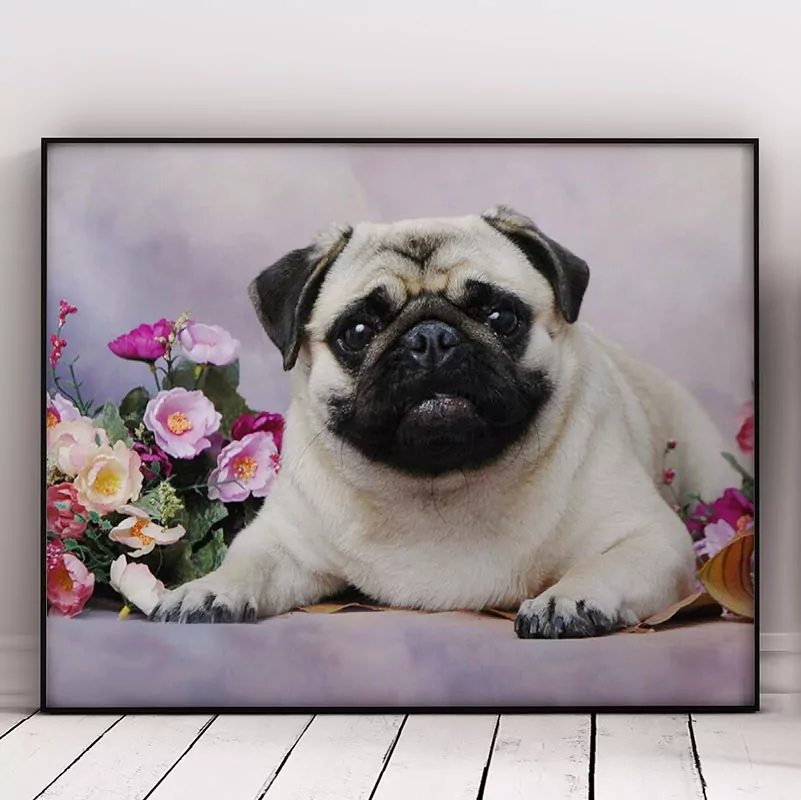 Cute Dog