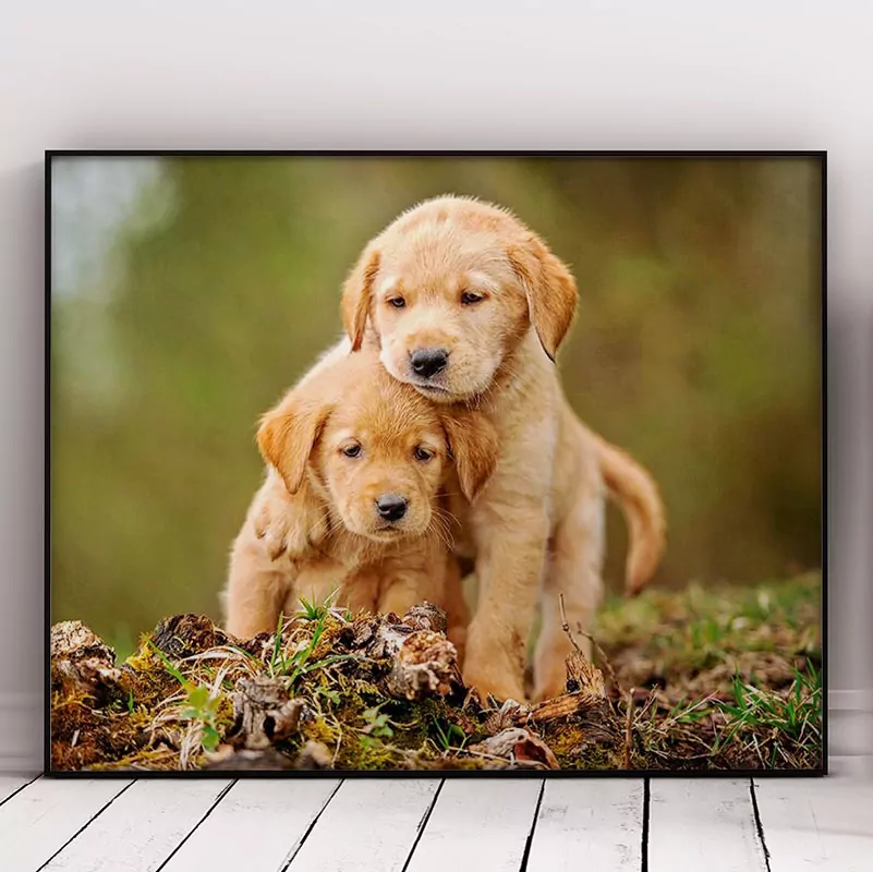 The Cutest Puppies