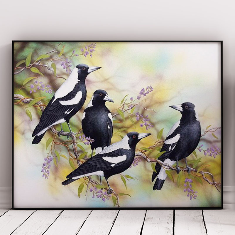 Beautiful Magpie Birds
