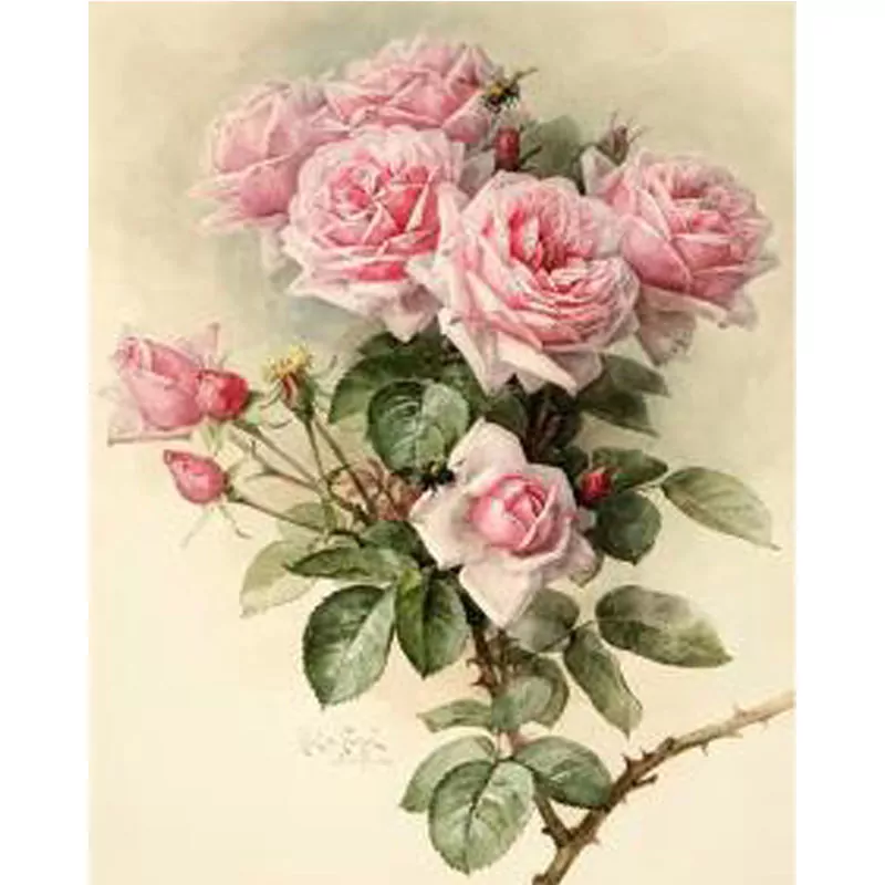 The Bunch or Pink Flowers