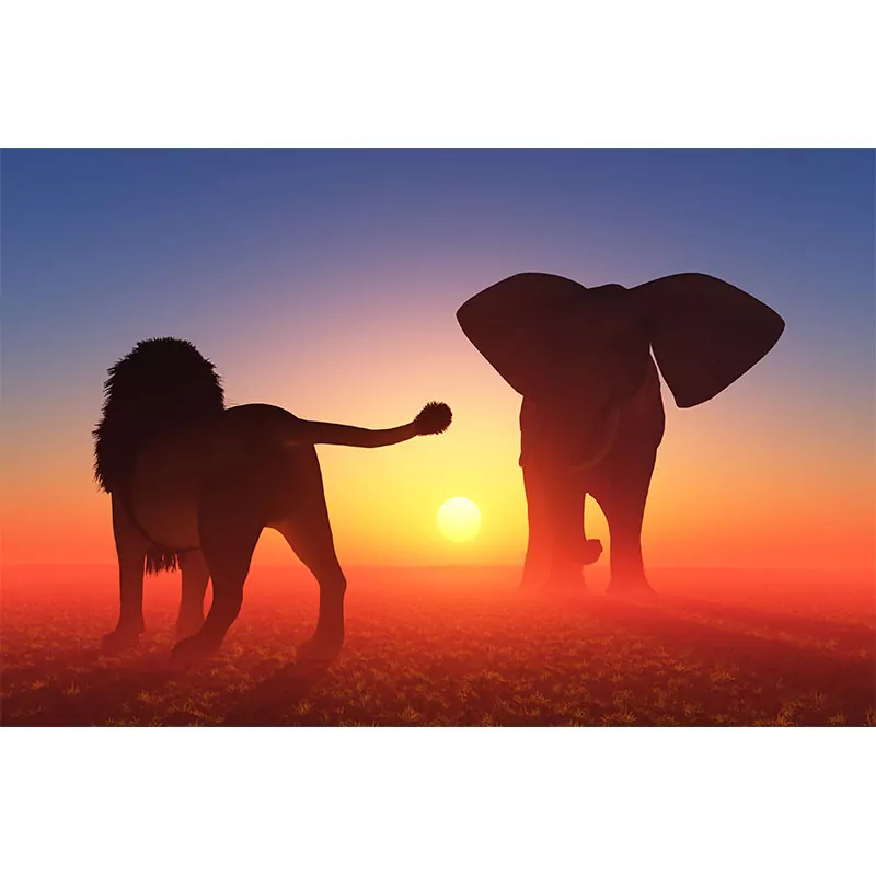 Lion And Elephant