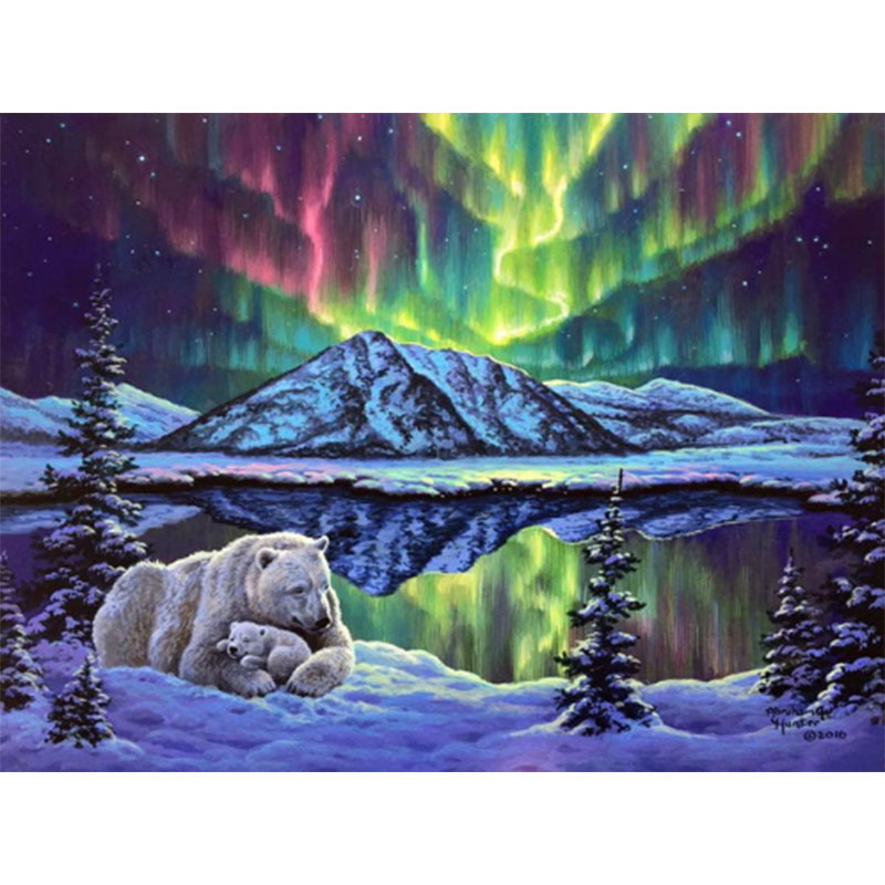 Bear and Northern Lights