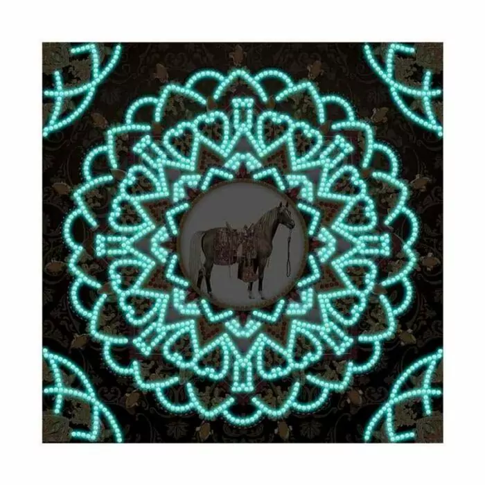 Paard Mandala kunst - Glow in Dark - Afbeelding 3