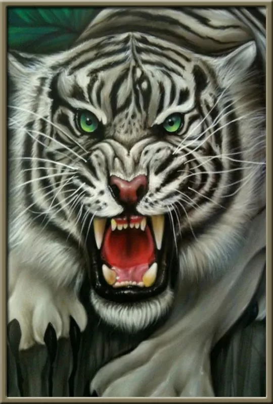 The Angry Tiger