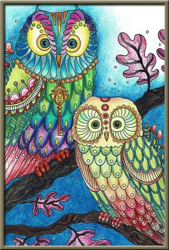 The Owl Family