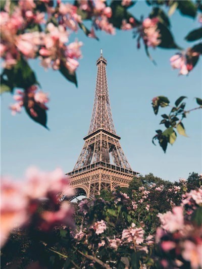 The View of Eiffel Tower