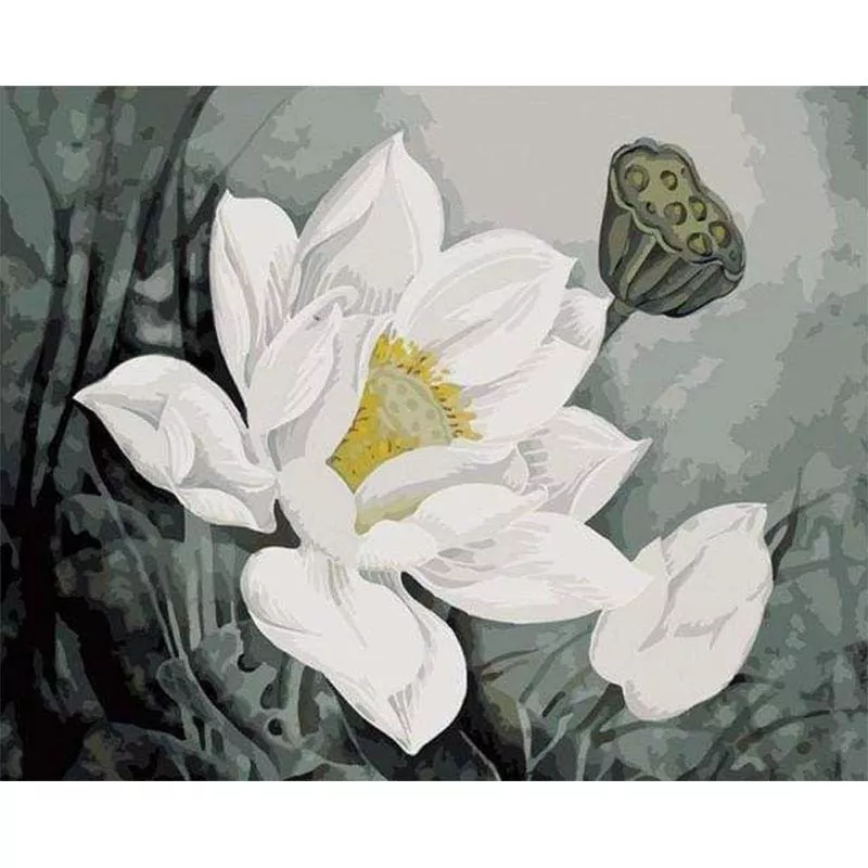 Een verbazingwekkende witte bloem - Afbeelding 2