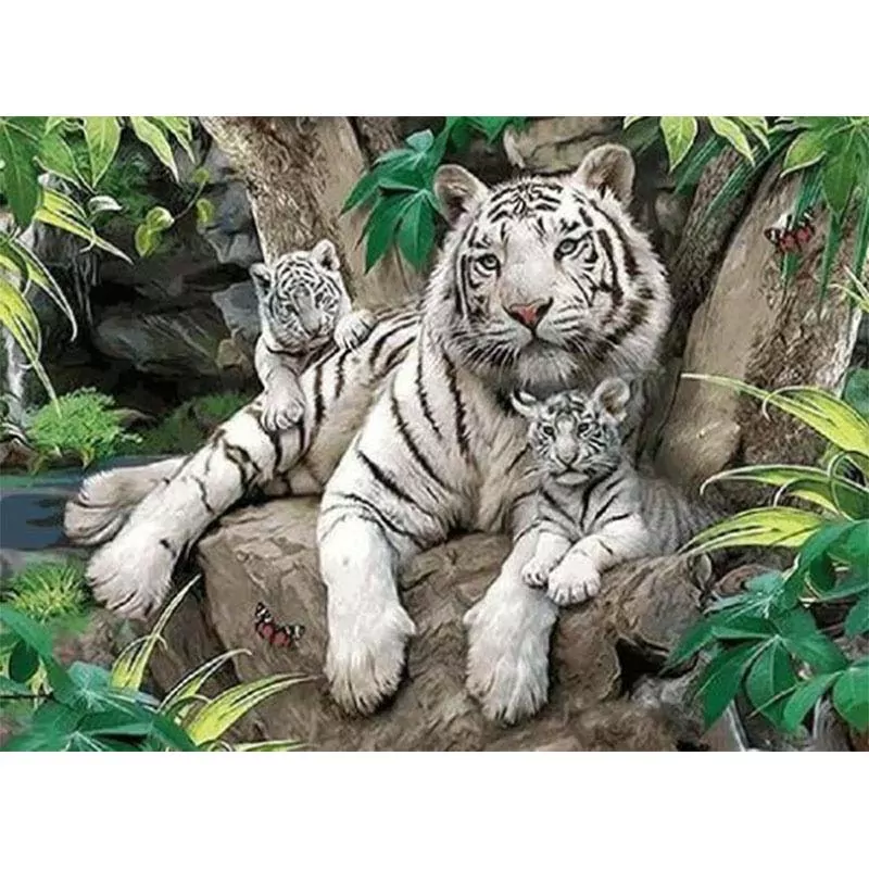 De Tijger Familie - Afbeelding 2