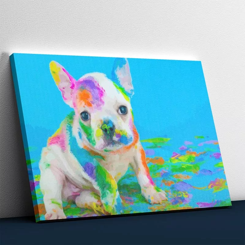 Hond speelt met kleuren