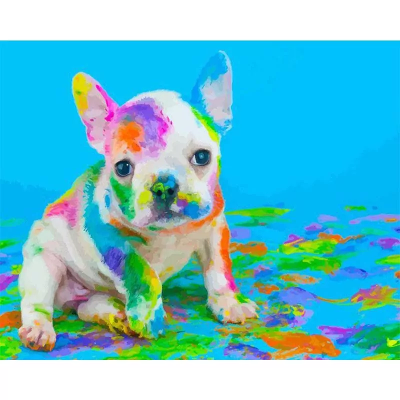 Hond speelt met kleuren - Afbeelding 2
