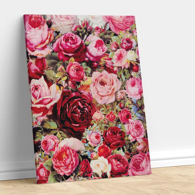 Kleurrijke bloemen