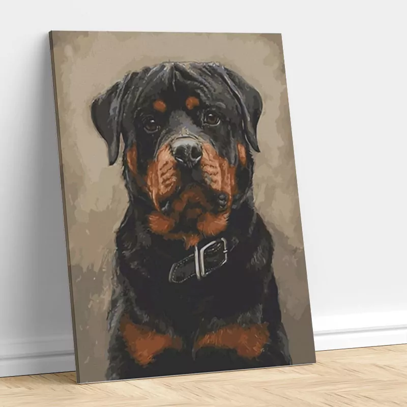 Mooie Hond