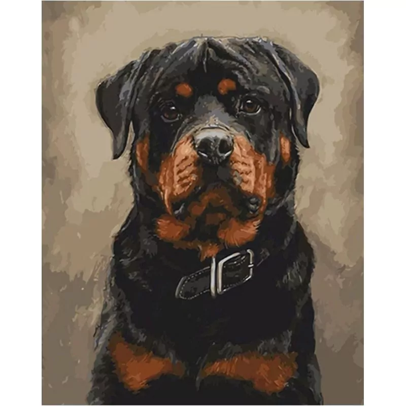 Mooie Hond - Afbeelding 2