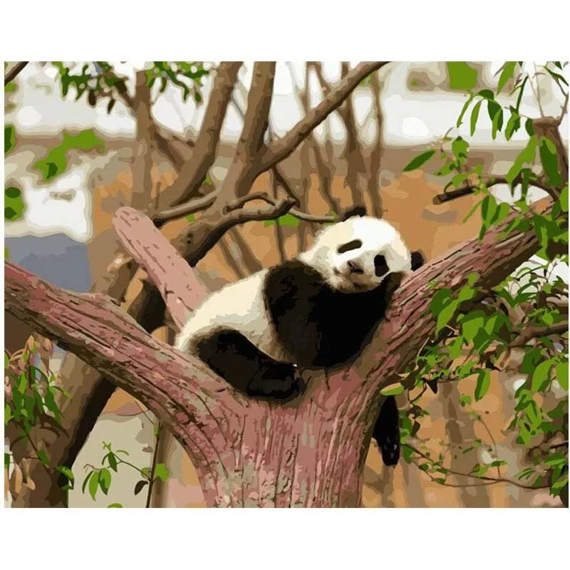 De luie panda - Afbeelding 2
